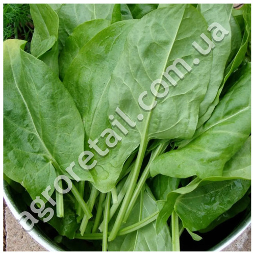 Щавель Малахит 20 г Gl Seeds