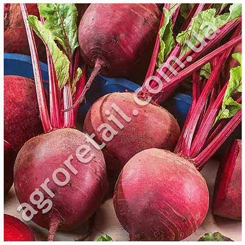 Свекла Деликатесная 20 г Gl Seeds