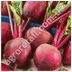 Свекла Деликатесная 20 г Gl Seeds
