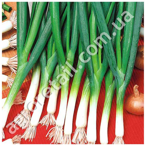 Лук-батун Апрельский 3 г Gl Seeds