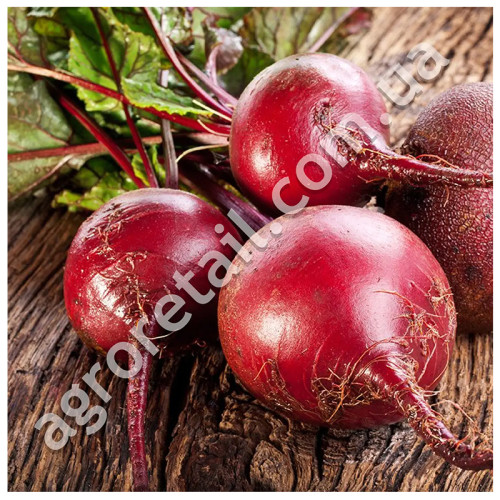 Свекла Красная вишня 20 г Gl Seeds