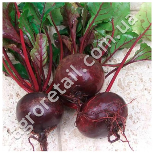 Свекла Мулатка 20 г Gl Seeds