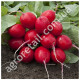 Редис Родос 20 г Gl Seeds