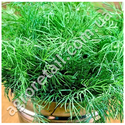 Укроп Супердукат 20 г Gl Seeds