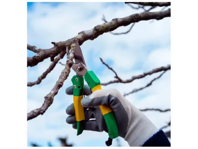 Осіння обрізка саду