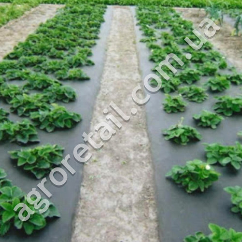 Агроволокно Agreen для мульчування чорне щільність 50 пакет 1.6х10 м