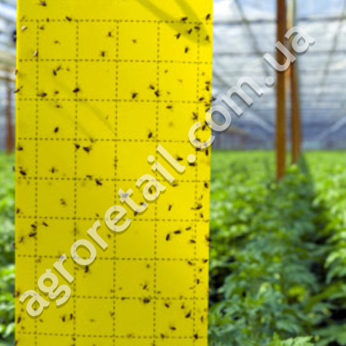 Клейова пастка від комах Sticky Trap жовта 25x40 см
