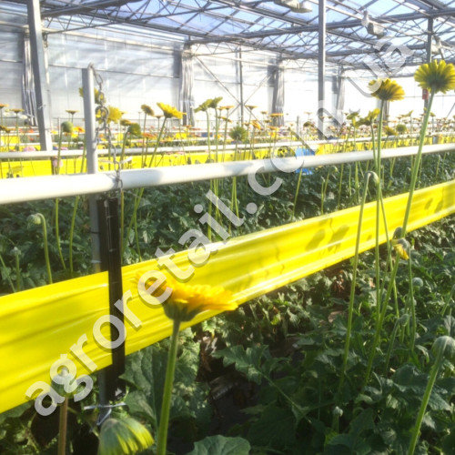 Клейова пастка від комах жовта рулон 15 см x 12 м