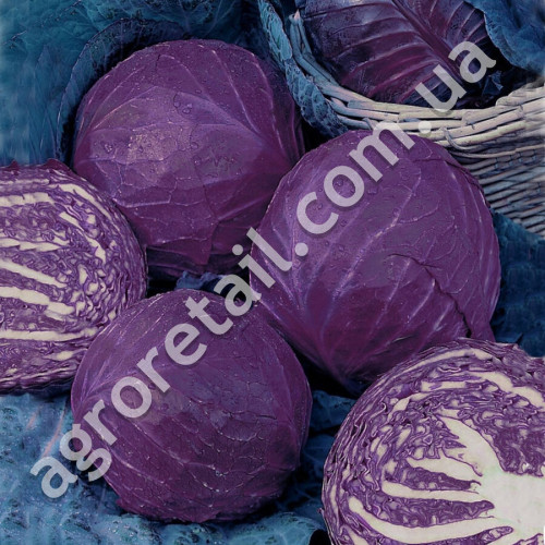 Капуста краснокочанная Топарани 250 г Satimex