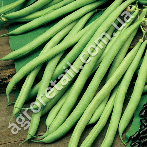 Фасоль спаржевая Ольга 500 г Satimex
