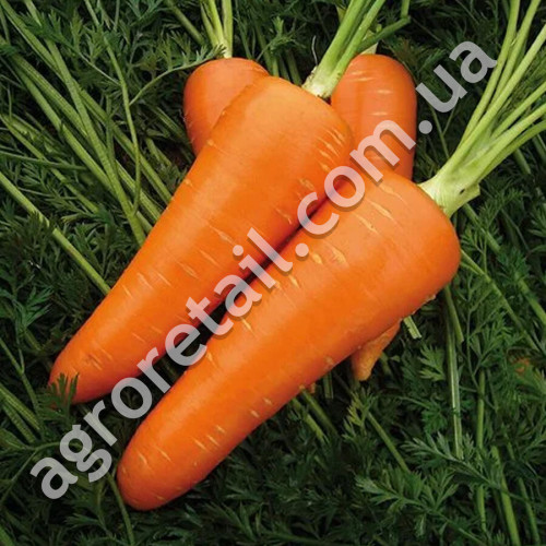 Морковь Памела 500 г Satimex