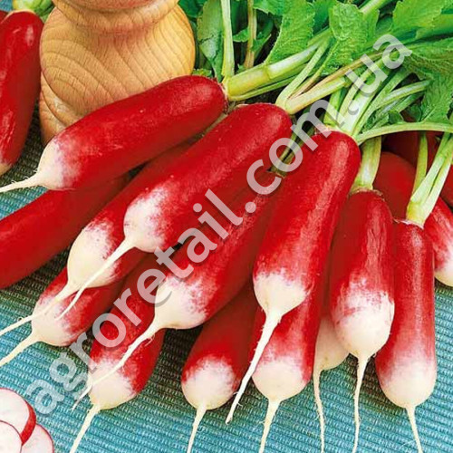 Редис Дует 500 г Satimex