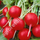 Редис Илка 500 г Satimex