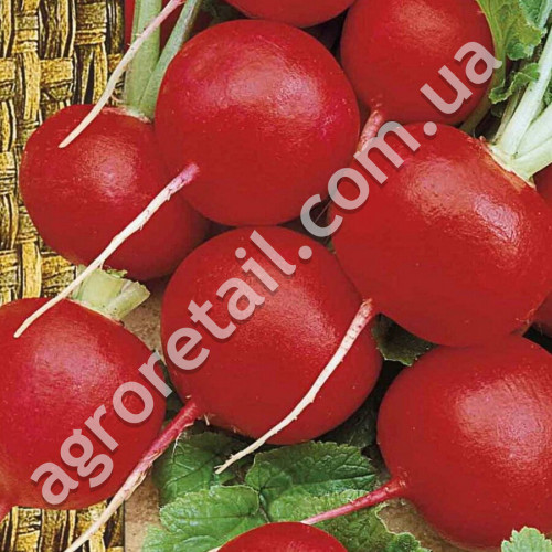 Редис Престо 500 г Satimex