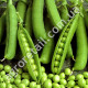 Горох Тиара 20 г Lark Seeds