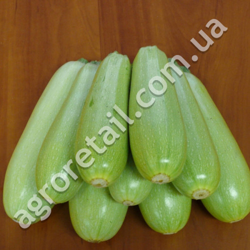Кабачок Немо F1 5 шт Lark seeds