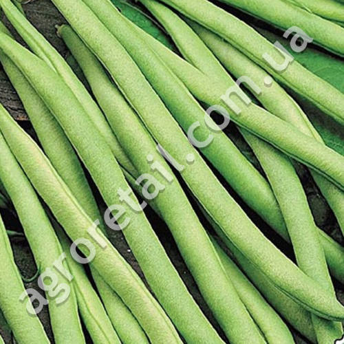 Квасоля спаржева Кларон 20 шт Syngenta