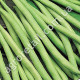 Квасоля спаржева Кларон 20 шт Syngenta