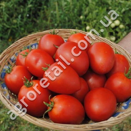 Томат Намиб F1 15 шт Syngenta