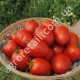 Томат Намиб F1 15 шт Syngenta