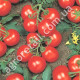 Томат Ричи F1 0.05 г Bejo