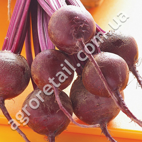 Свекла Мармеладка 3 г GL Seeds