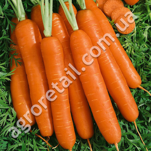 Морковь Ланге Роте Штумпфе 10 г Satimex