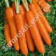Морковь Ланге Роте Штумпфе 2 г Традиція