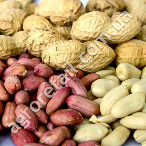 Арахис Валенсия Украинская 25 шт Gl Seeds