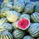 Арбуз Каховский 2 г Gl Seeds
