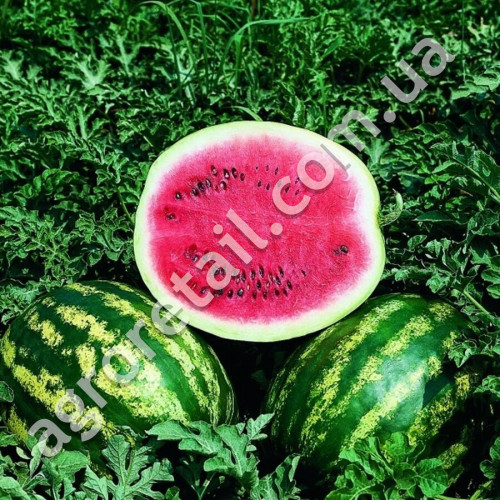 Кавун Крімсон світ 3 г Gl Seeds