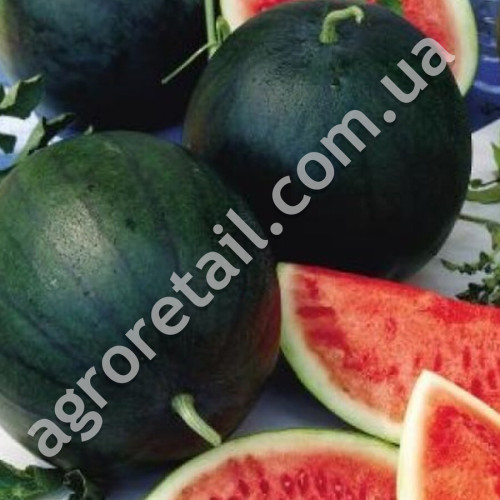 Кавун Цукровий малюк 2 г Gl Seeds