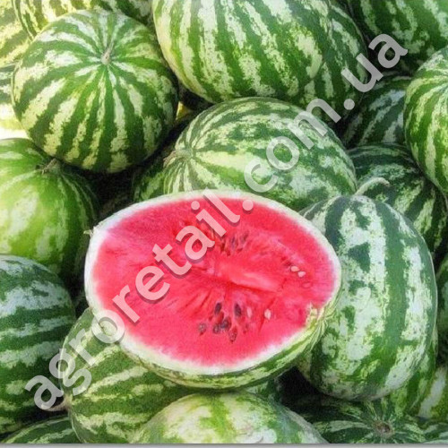 Кавун Чарівник 3 г Gl Seeds