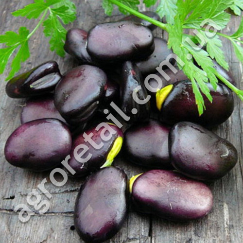 Бобы Черные 5 шт Gl Seeds