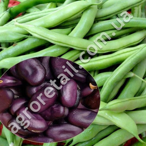 Бобы Экстра грано виолетто 15 г Gl Seeds