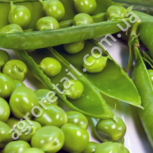 Горох Джокер 50 г Gl Seeds