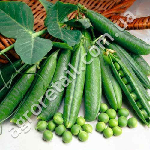 Горох Суперцукровий 10 г Gl Seeds