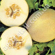 Диня Р-133 2 г Gl Seeds