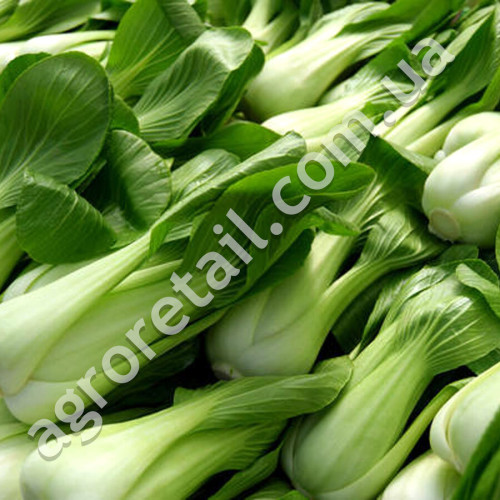 Капуста Китайская Пак Чой 0.5 г Gl Seeds