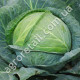 Капуста Слава 10 г Gl Seeds