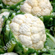 Капуста цветная Сноу болл F1 0.5 г Gl Seeds