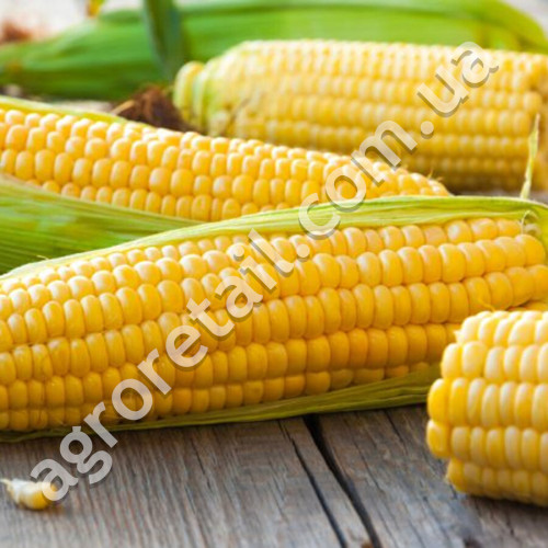 Кукурудза Дебют F1 20 г Gl Seeds