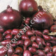 Лук Ред барон 1 г Gl Seeds