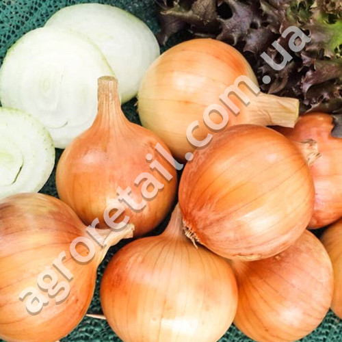 Цибуля Халцедон 10 г Gl Seeds