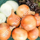 Цибуля Халцедон 10 г Gl Seeds