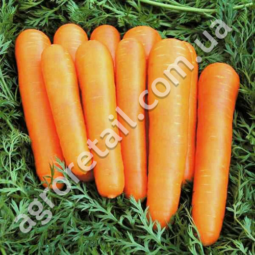 Морква Артек 3 г Gl Seeds