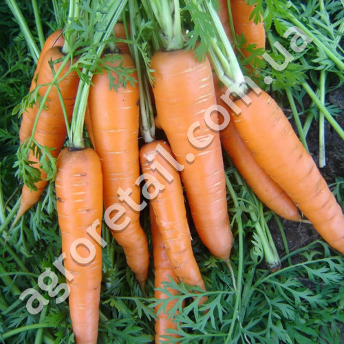 Морква Віта Лонга 20 г Gl Seeds