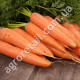 Морква Московська зимова 20 г 20 г Gl Seeds