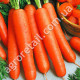Морква Перфекція 3 г Gl Seeds