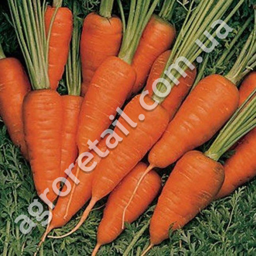 Морква Ласунка F1 20 г Gl Seeds